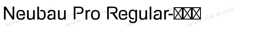 Neubau Pro Regular字体转换